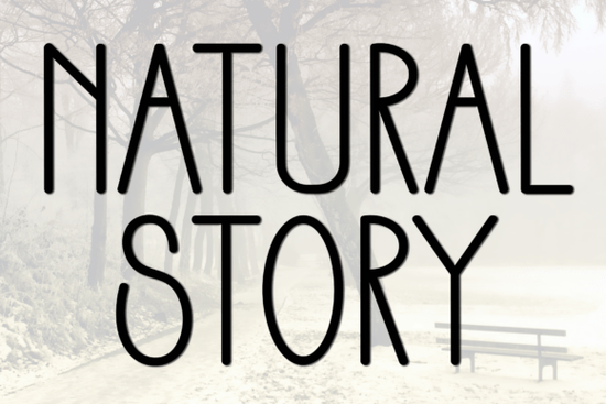 Natural Story Font